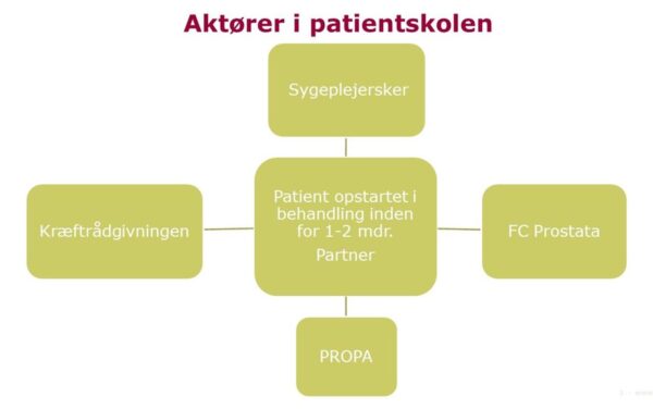 Aktører i patientskolen