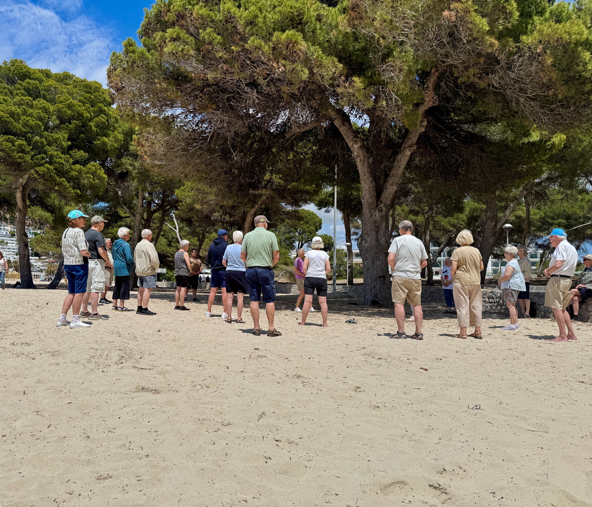 Mallorca, 8